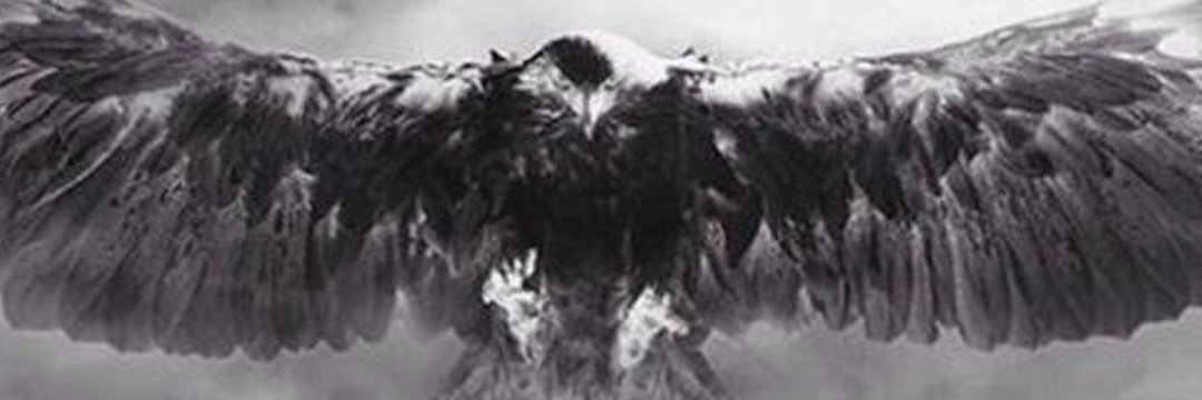 oztrkoznr's profile banner image