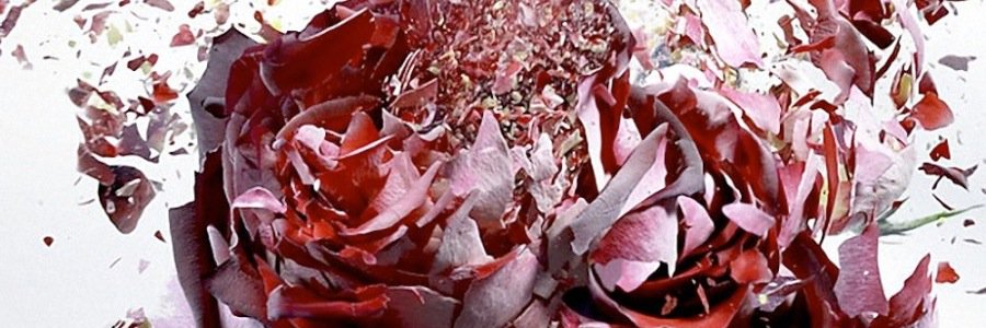 ytusinfiltro's profile banner image