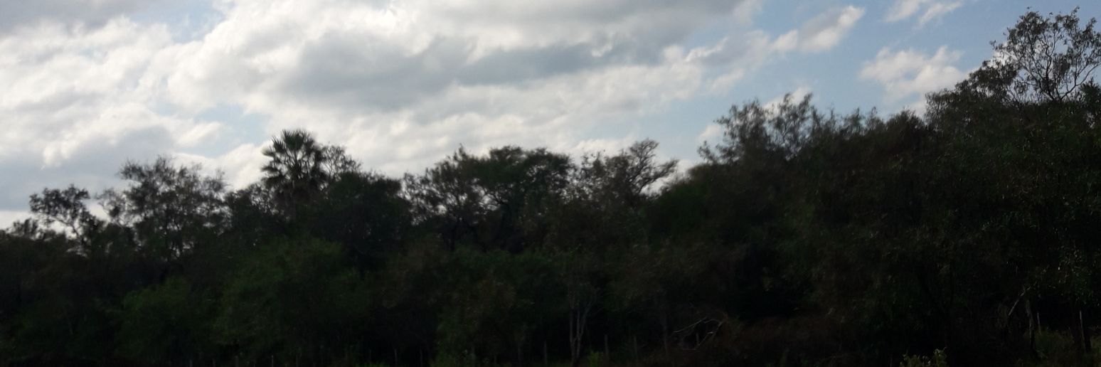 agustespi's profile banner image