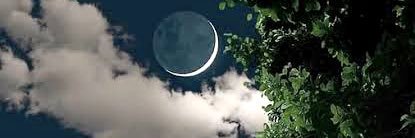 ETR_ALZain's profile banner image