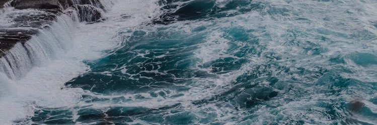 maggiemont_'s profile banner image