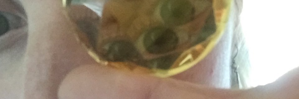 bowscollective's profile banner image