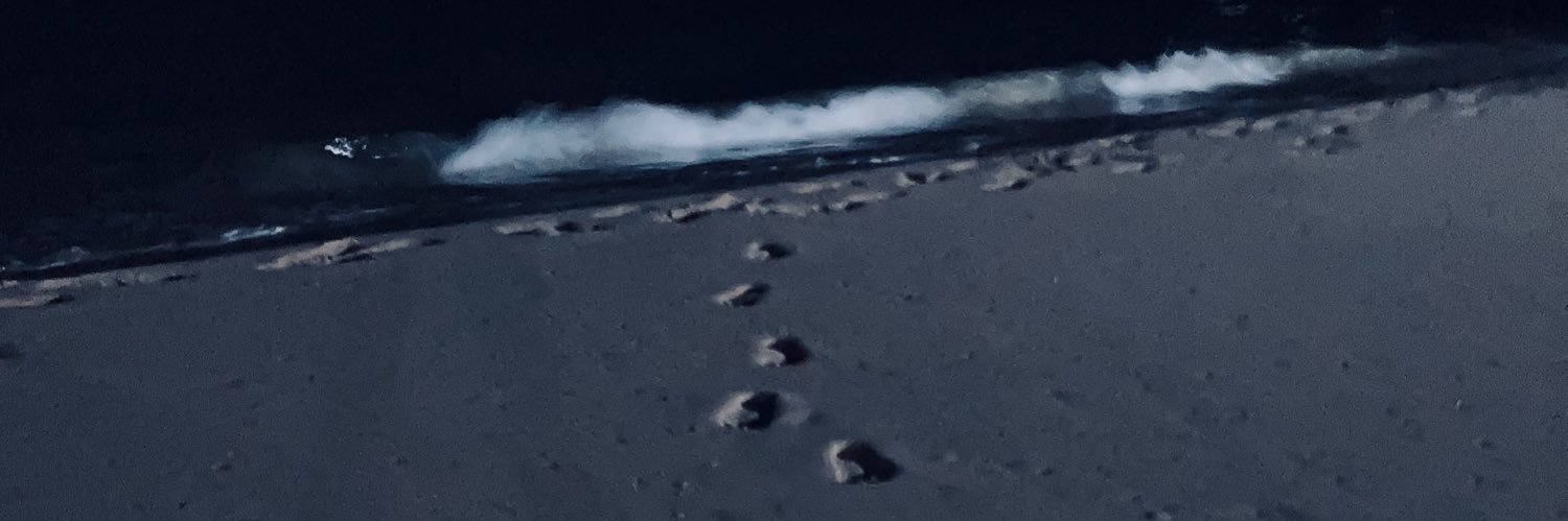 devillshiv's profile banner image