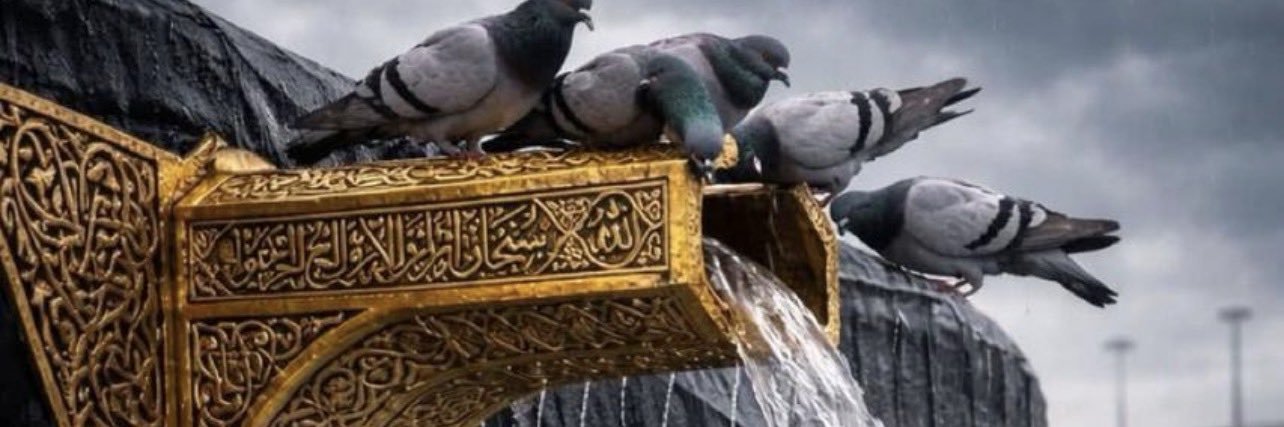 هاني المنصور⁦ banner