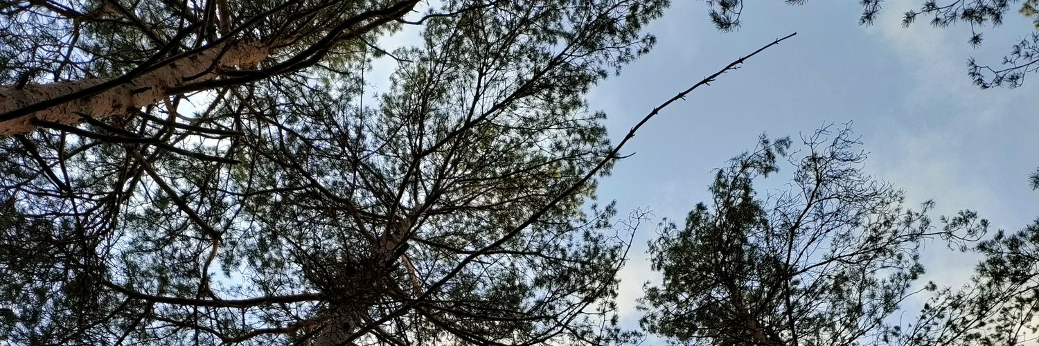 suun36's profile banner image