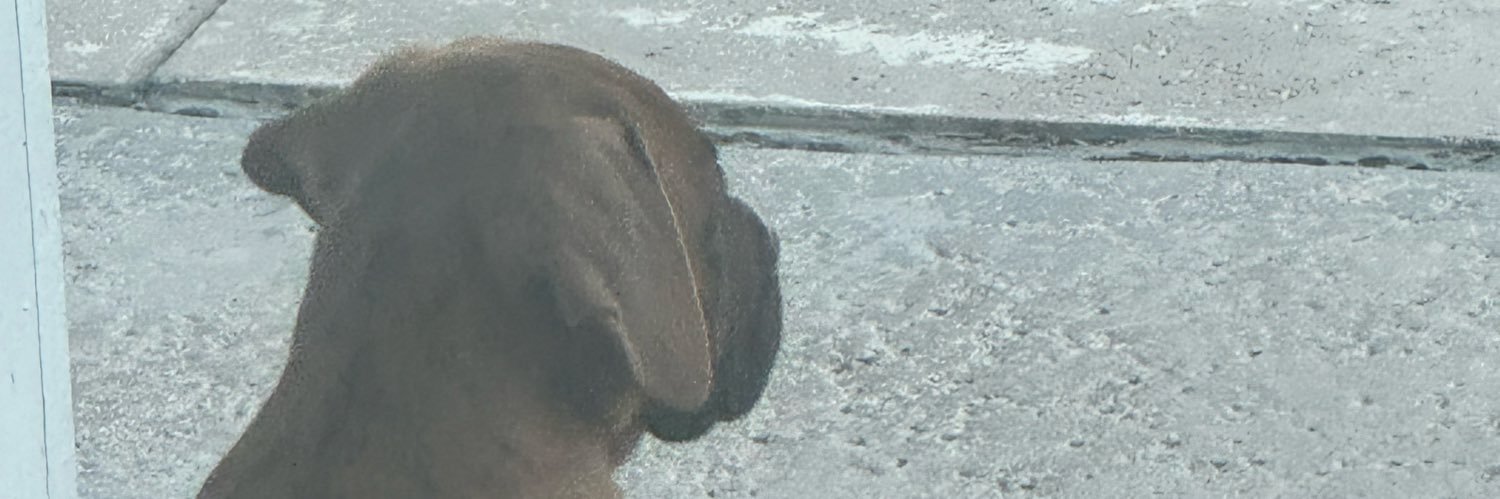 playedoutDon's profile banner image