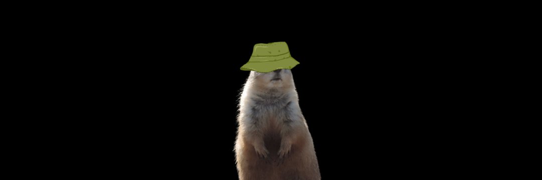 MikeSteini's profile banner image