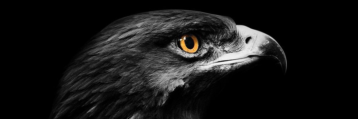 Sag1am's profile banner image