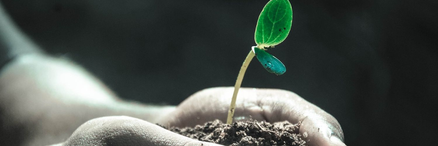 sgnirkmd's profile banner image