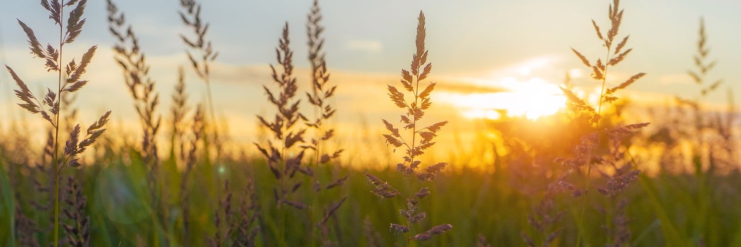 jdkj111's profile banner image