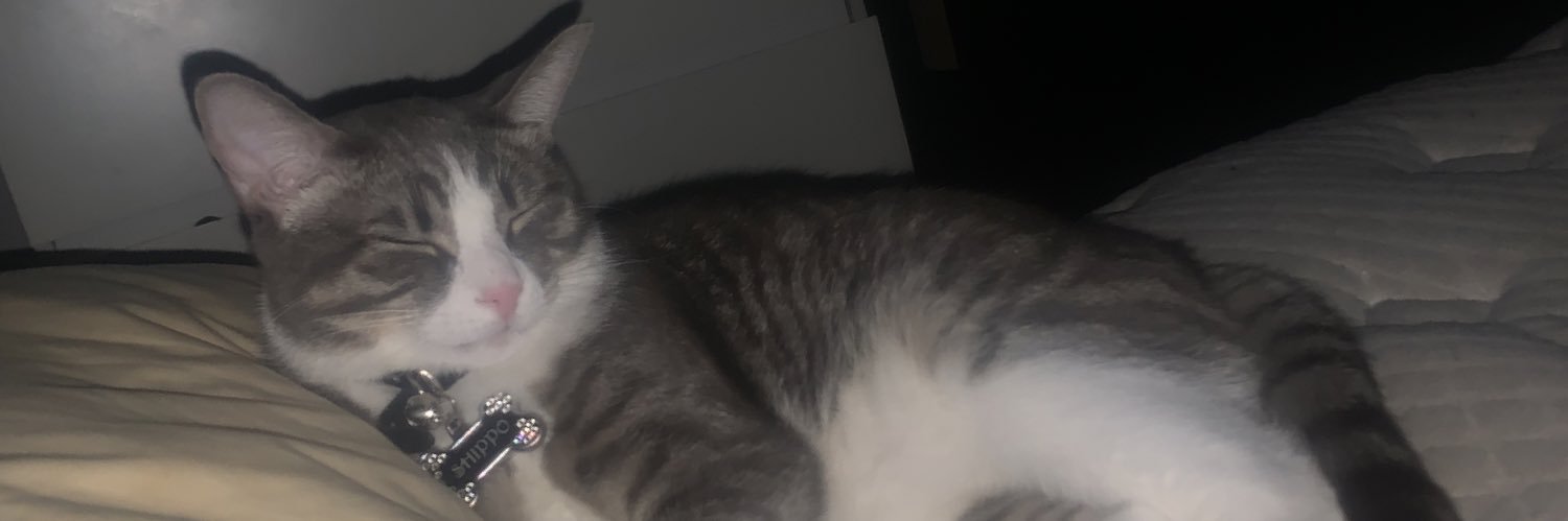 DrippMeister's profile banner image