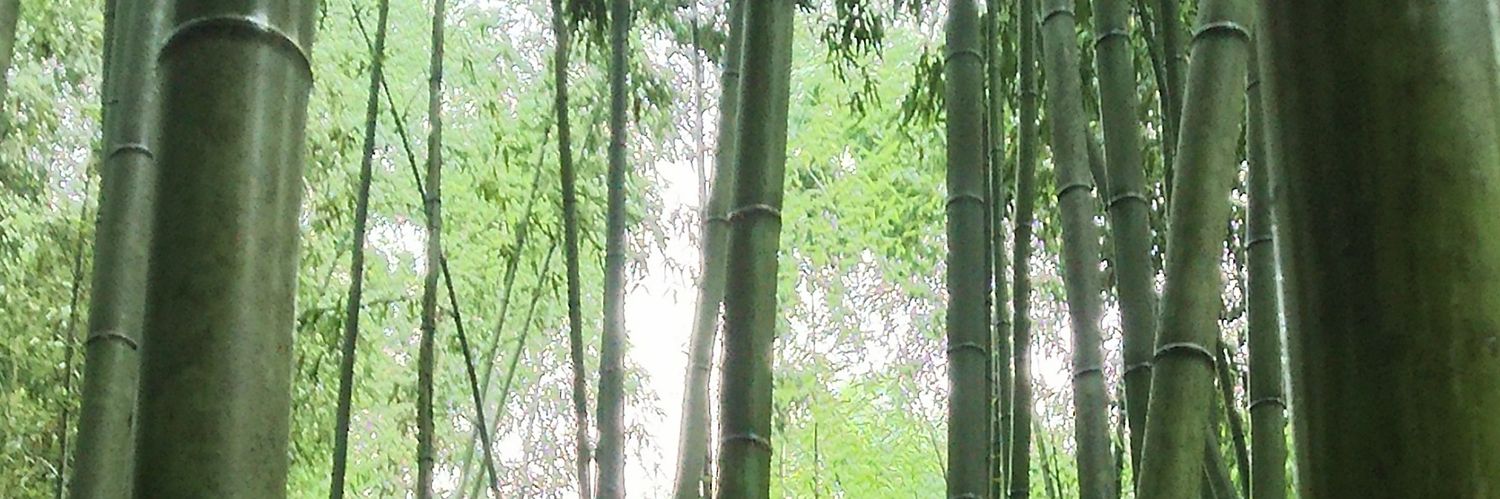 yuu7286's profile banner image