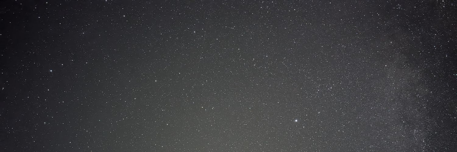 Bleiceanu Daniel banner