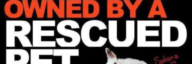 DogRescuer2011's profile banner image