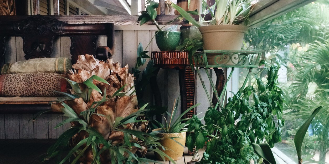 caleb misclevitz banner