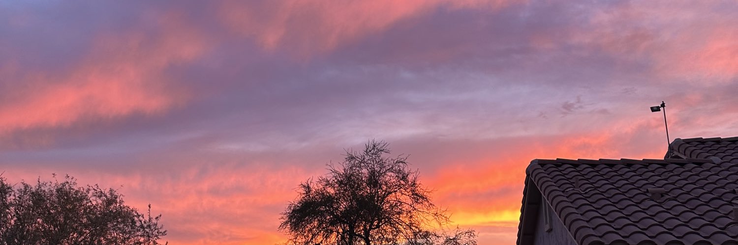 devyn_birrell's profile banner image