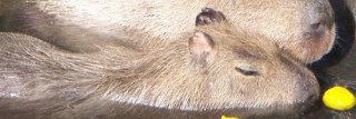 tkotherock1's profile banner image