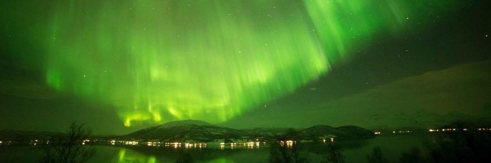 SilviaSPG's profile banner image
