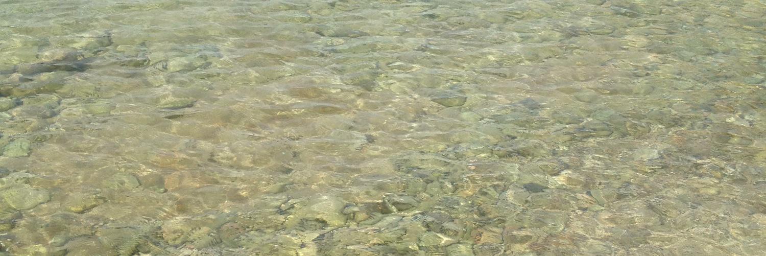 ricardoferiche's profile banner image