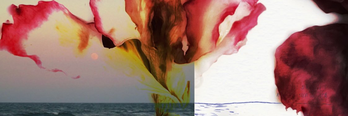 maycia banner