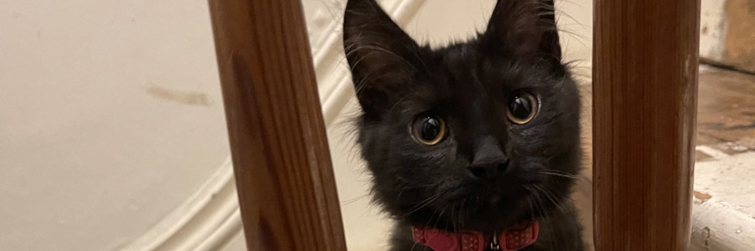 Faiiipd's profile banner image