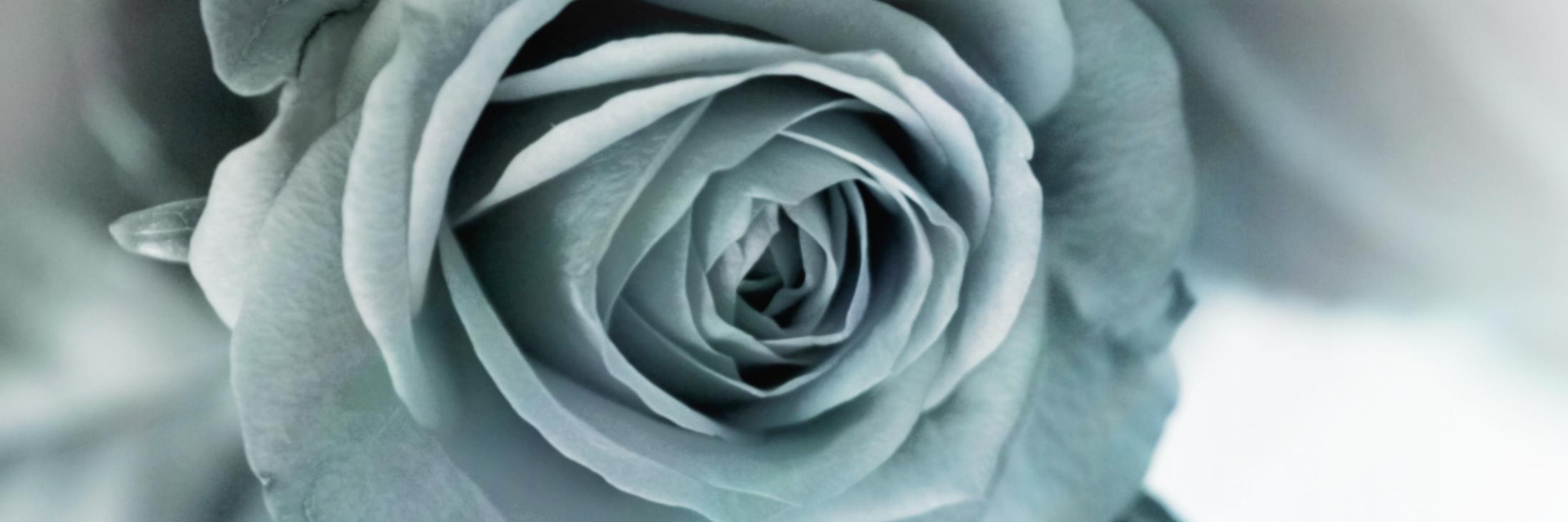 kyescape's profile banner image
