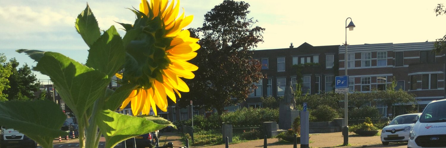 Bomenbuurt Den Haag banner