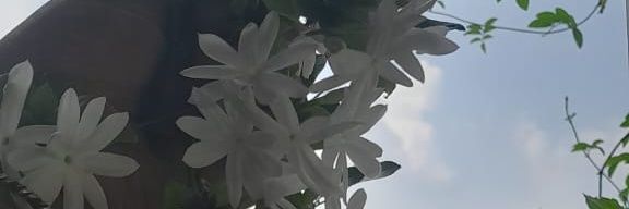 AChattopadh's profile banner image