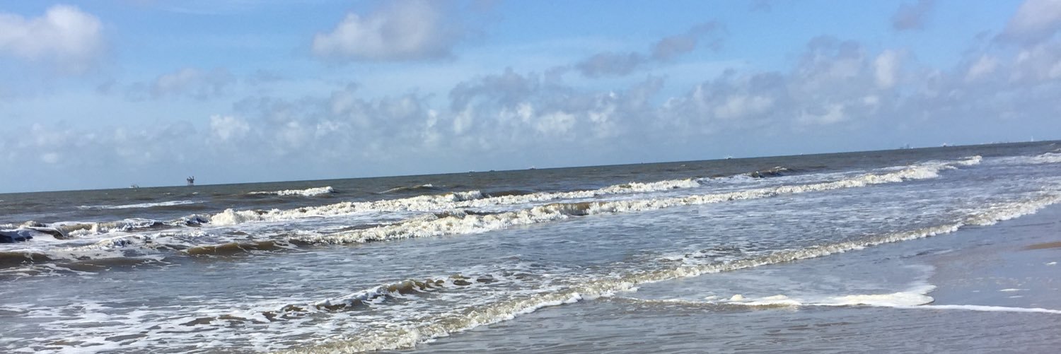 DotTX banner