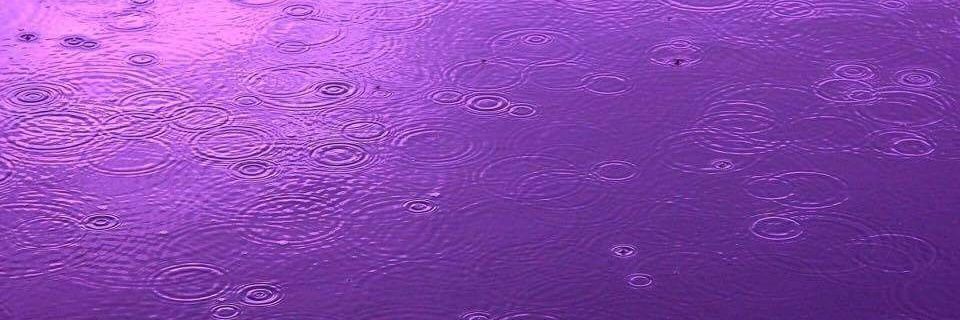 TangiDavis's profile banner image
