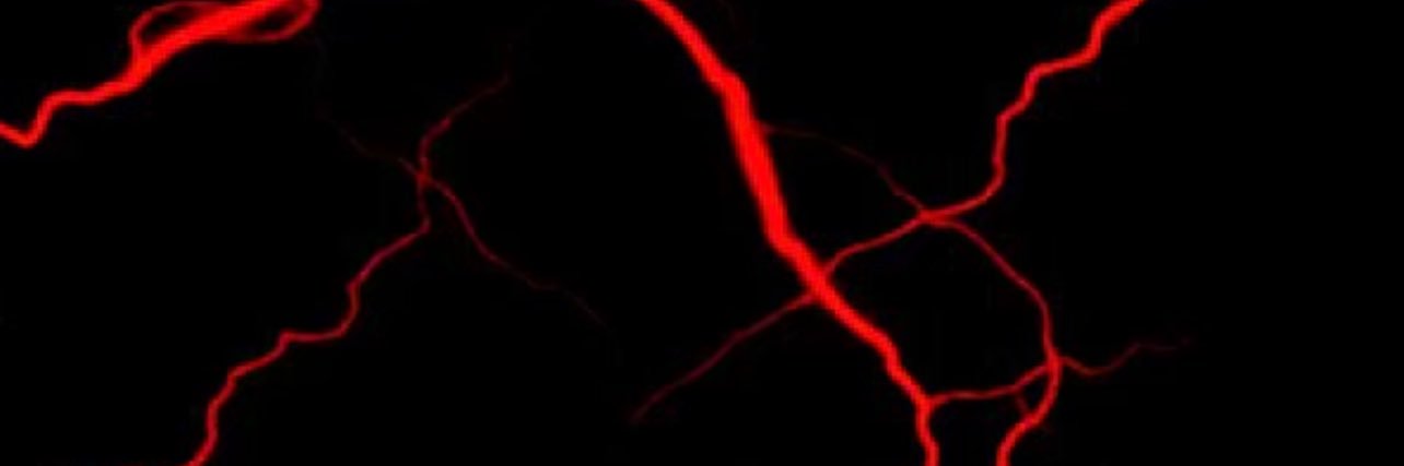 Angneverleigh's profile banner image