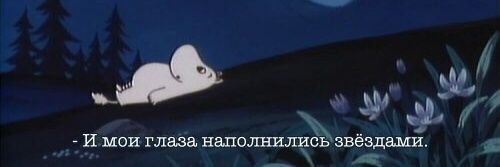 nasdisaster's profile banner image