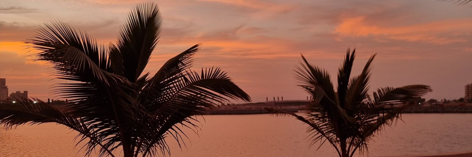 hashim53's profile banner image