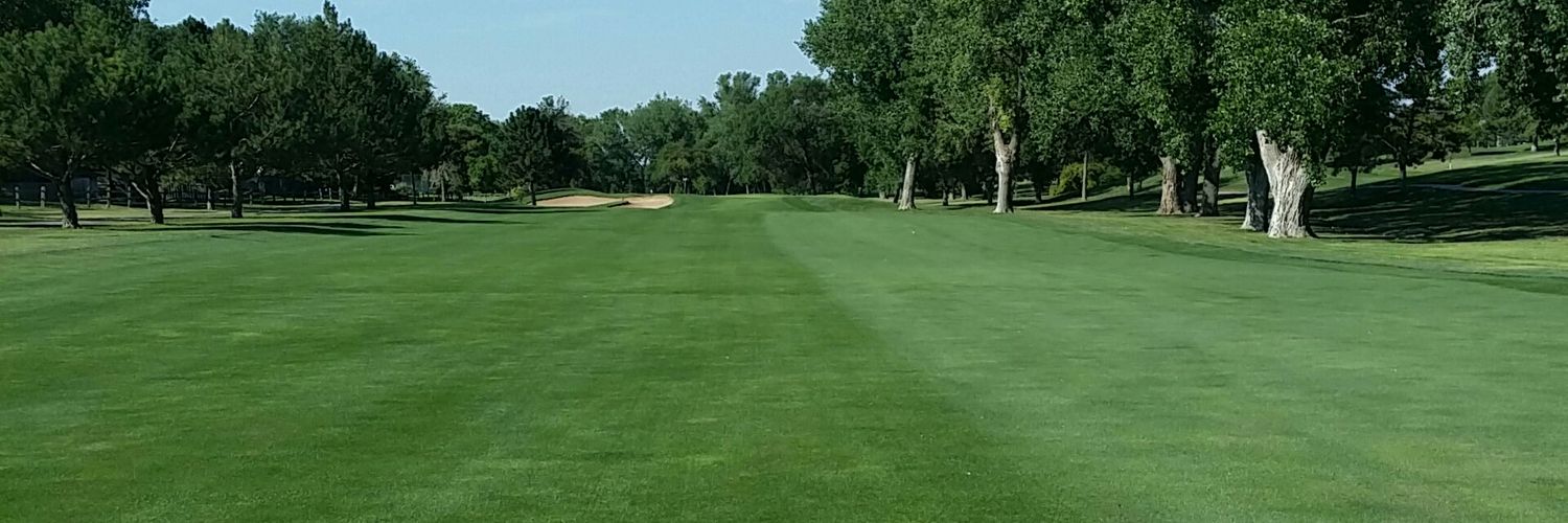 Ethan Swartzman banner