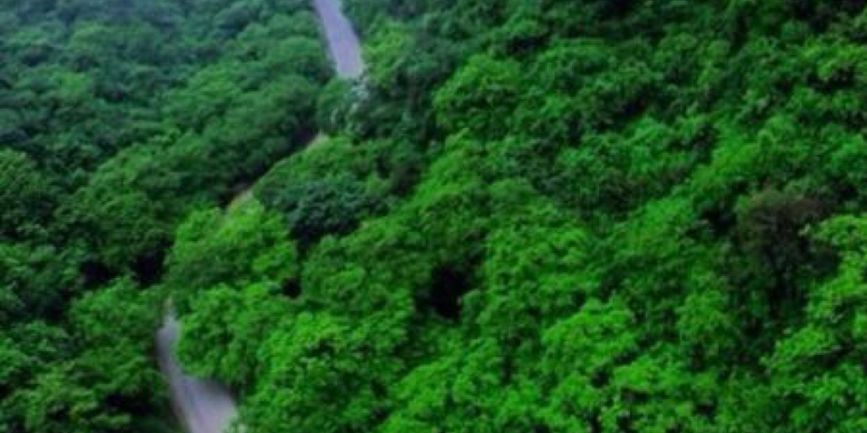 LmMahda's profile banner image