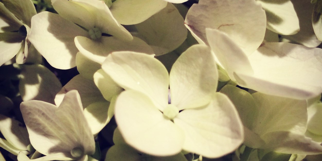 jcardelle's profile banner image