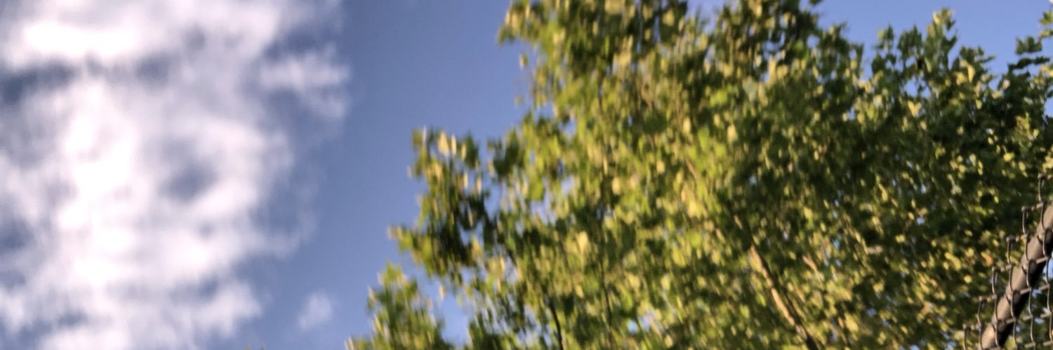 ParkaAdam's profile banner image