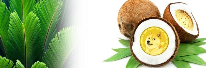 LauderdaleBitC banner