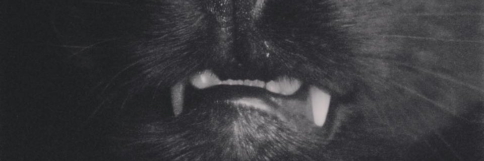 AleDuqueS's profile banner image