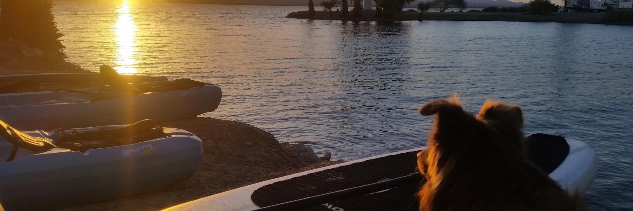 mlssvns's profile banner image