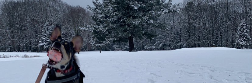 smcneill2016's profile banner image