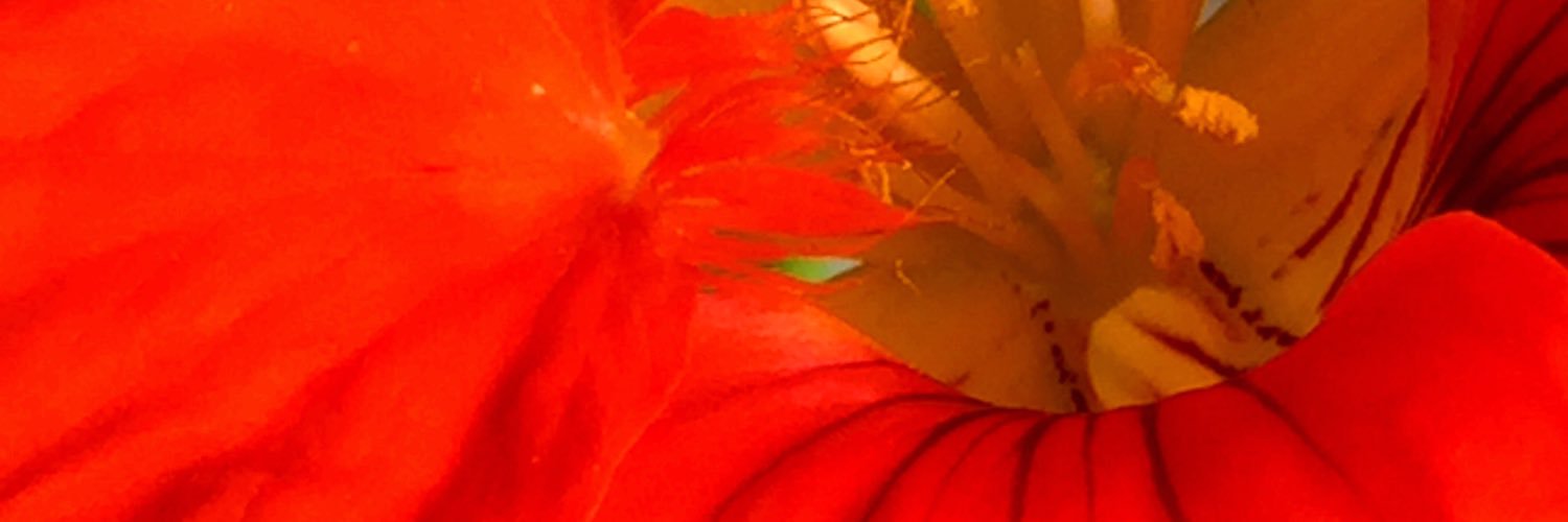 Photochik70's profile banner image