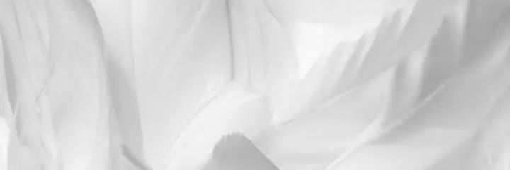 ishubhamay's profile banner image