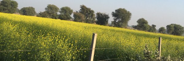 _shibendu Profile Banner