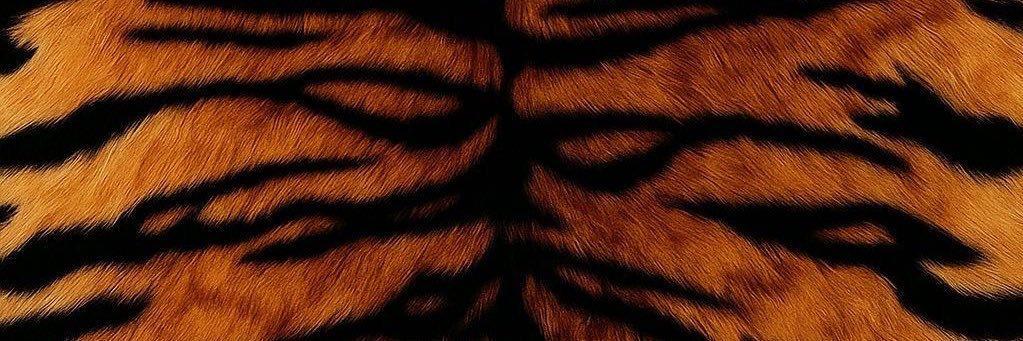 itsboybones's profile banner image
