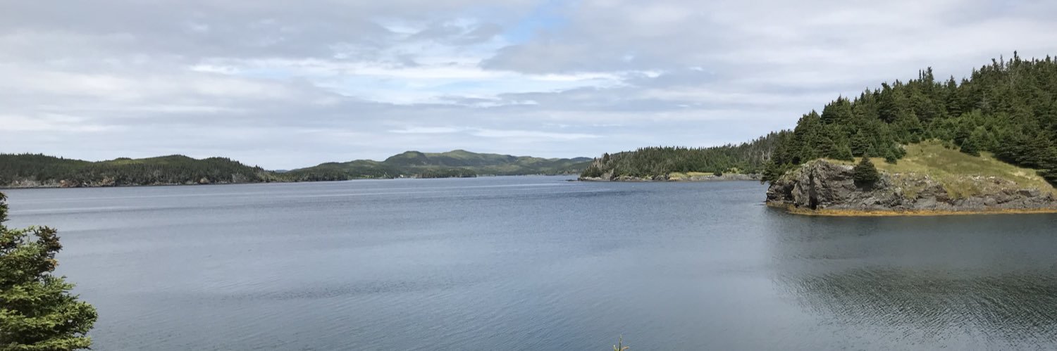obriensearch's profile banner image
