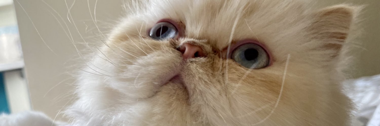 salitohappy's profile banner image