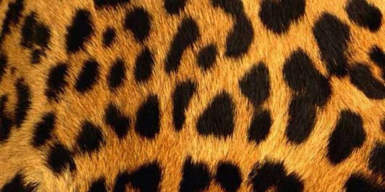 Monse_F14's profile banner image