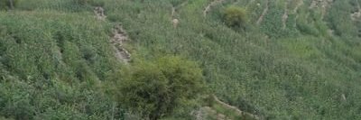 Martin Escalada banner