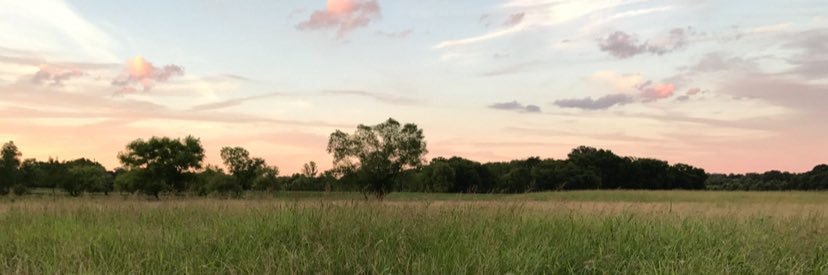 meiss5's profile banner image